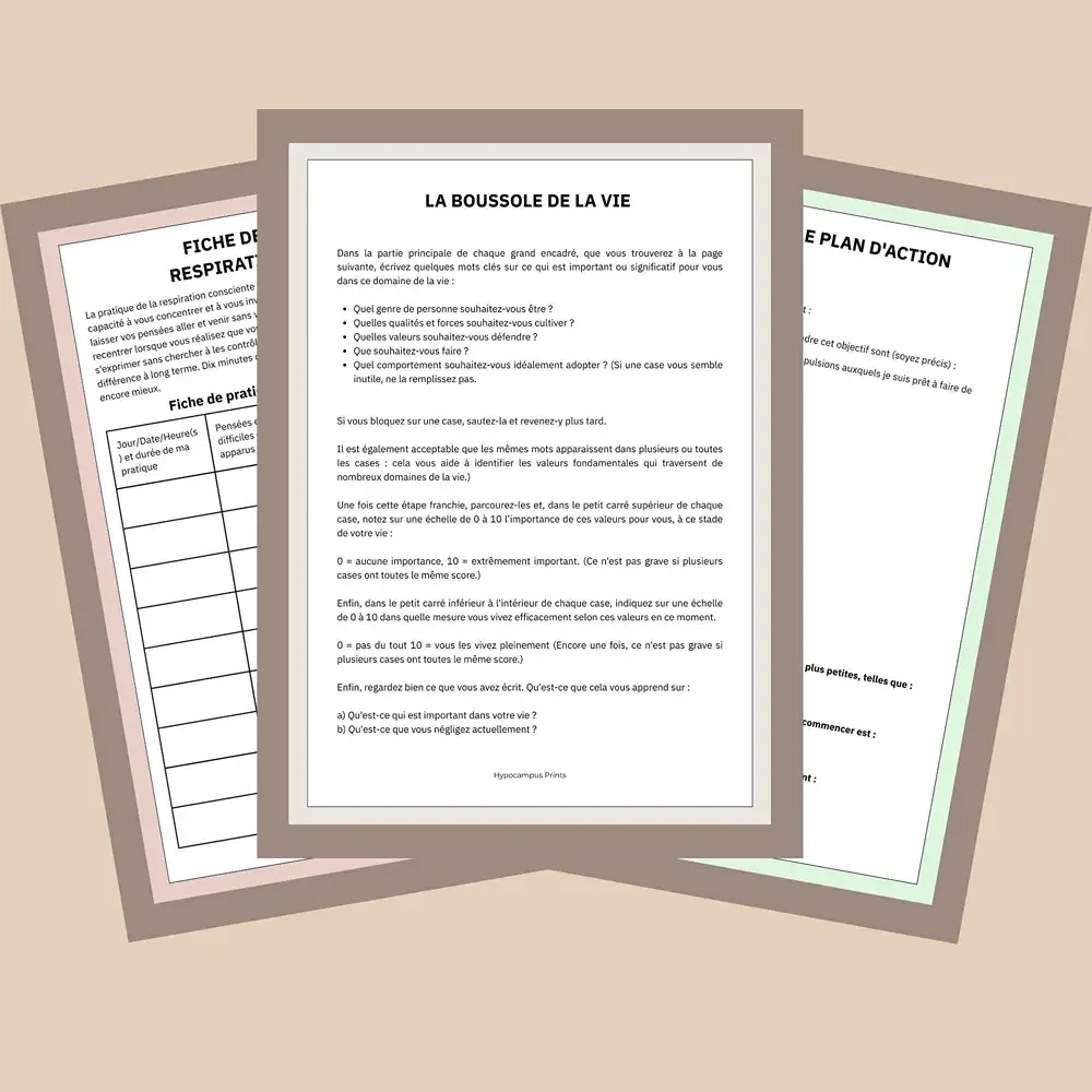 ACT_evaluation_et_clarification_des_valeurs_pdf_05.webp