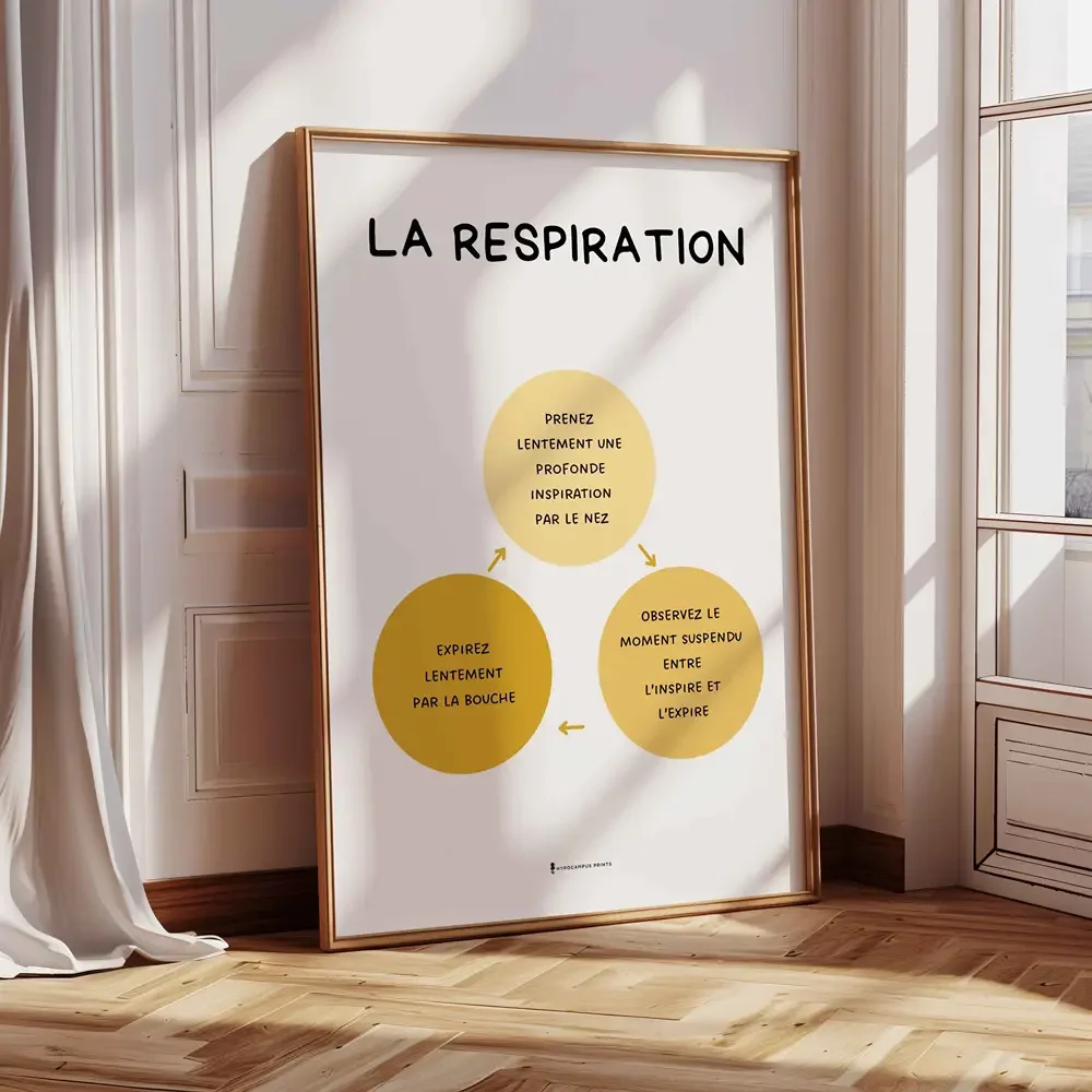 affiche-respiration-abdominale-pdf-gestion-emotions-04.webp