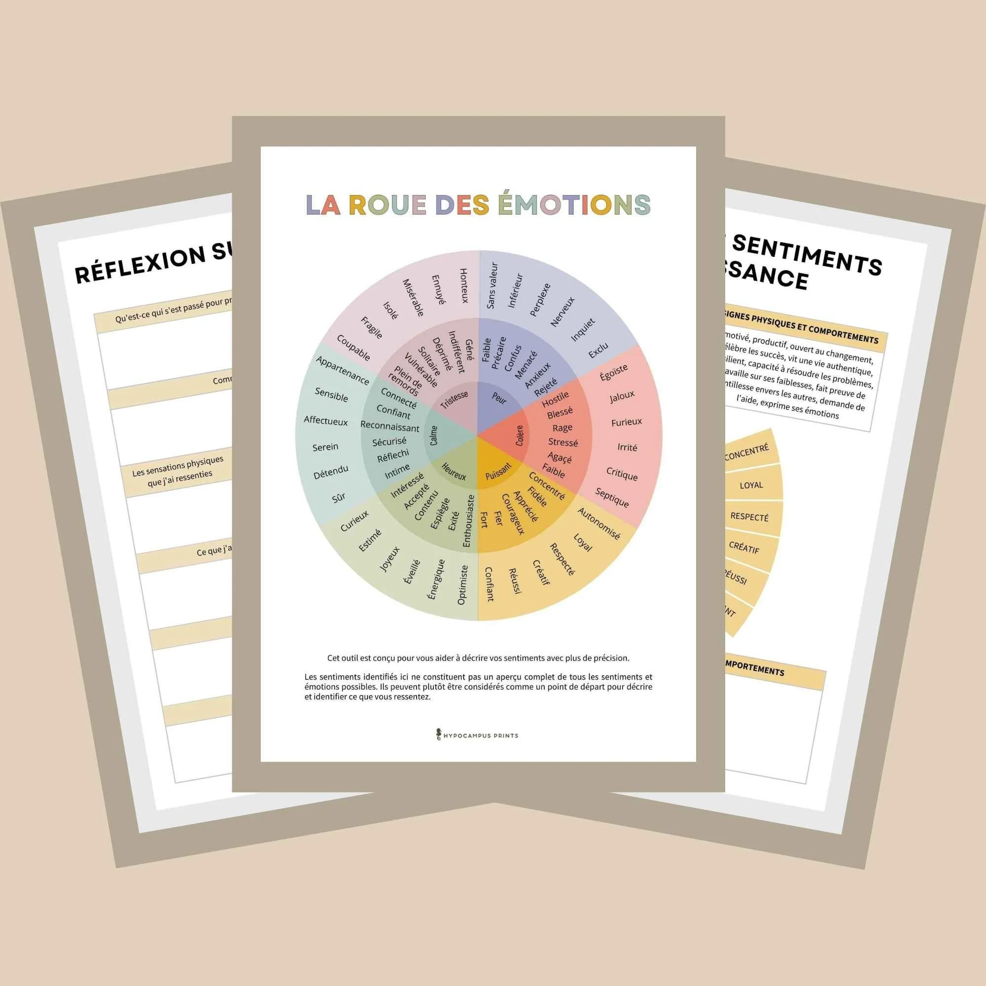 cahier-d-exercices-la-roue-des-emotions8.jpg.jpg