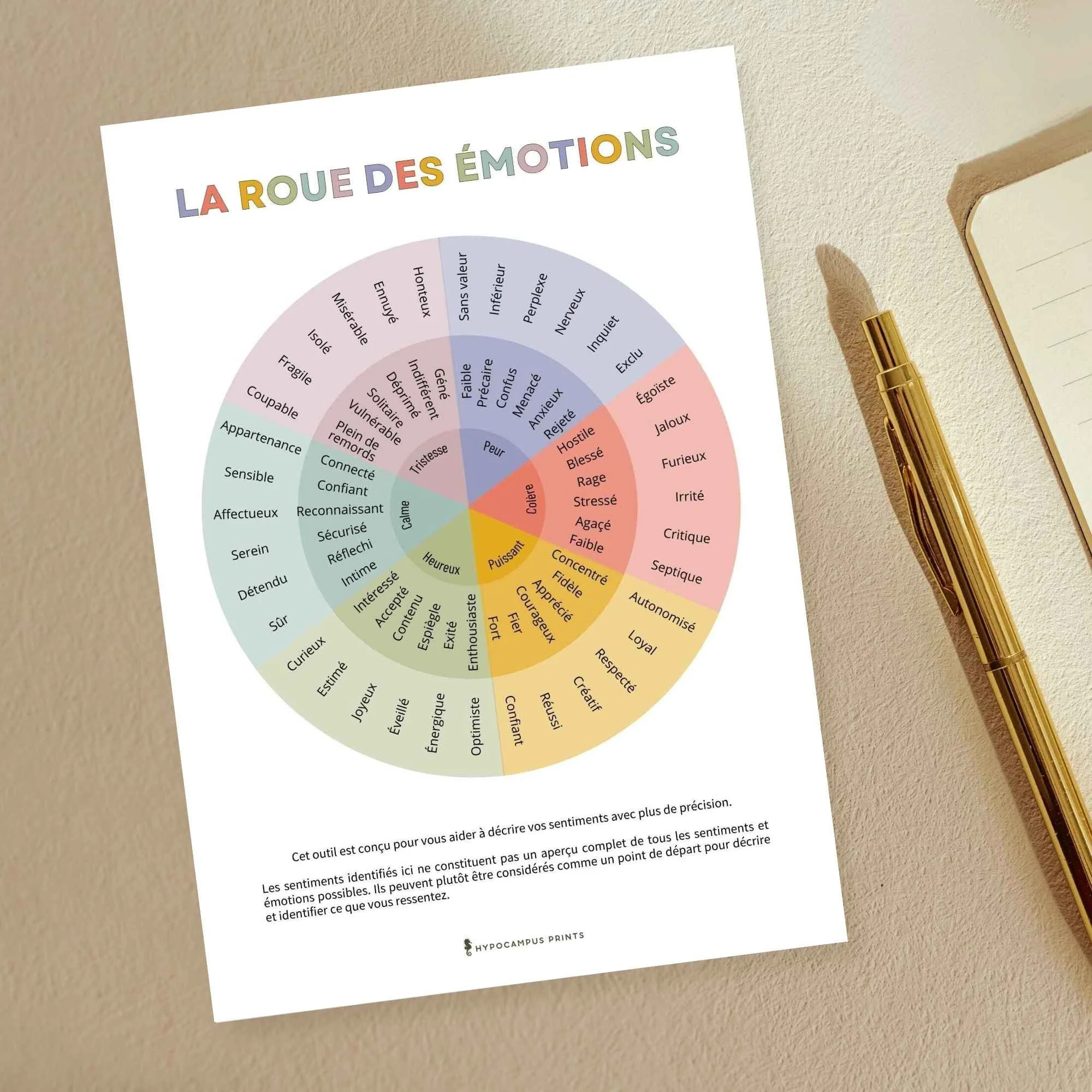 cahier-d-exercices-la-roue-des-emotions6.jpg.jpg