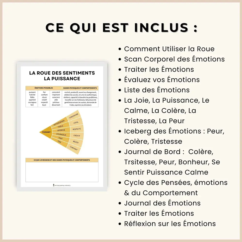 exercices-roue_des_emotions_pdf_10.webp