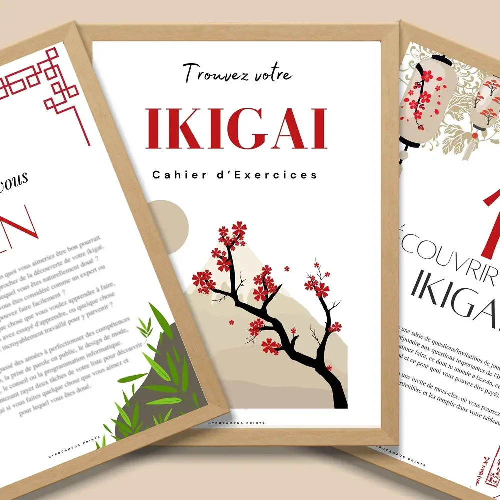 trouver_son_Ikigai_mission_de_vie_03.webp