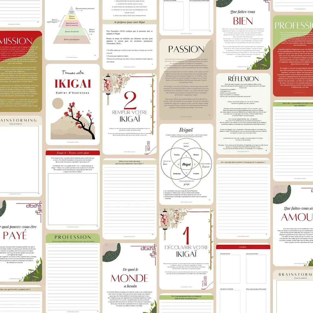 trouver_son_Ikigai_mission_de_vie_08.webp