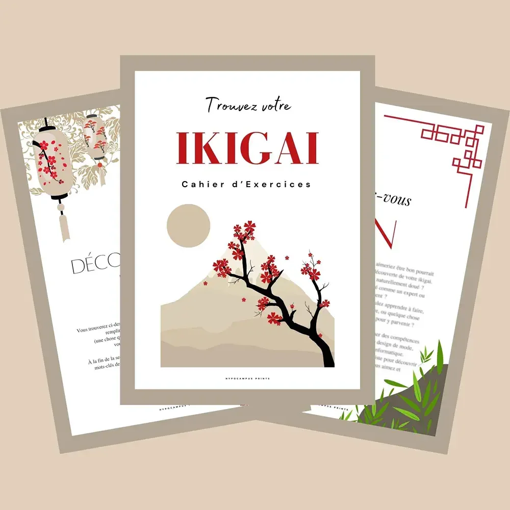 trouver_son_Ikigai_mission_de_vie_07.webp