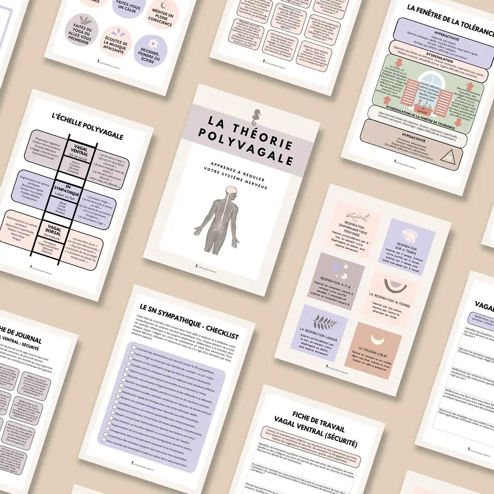 theorie_polyvagale_developpement_personnel_pdf_03.webp