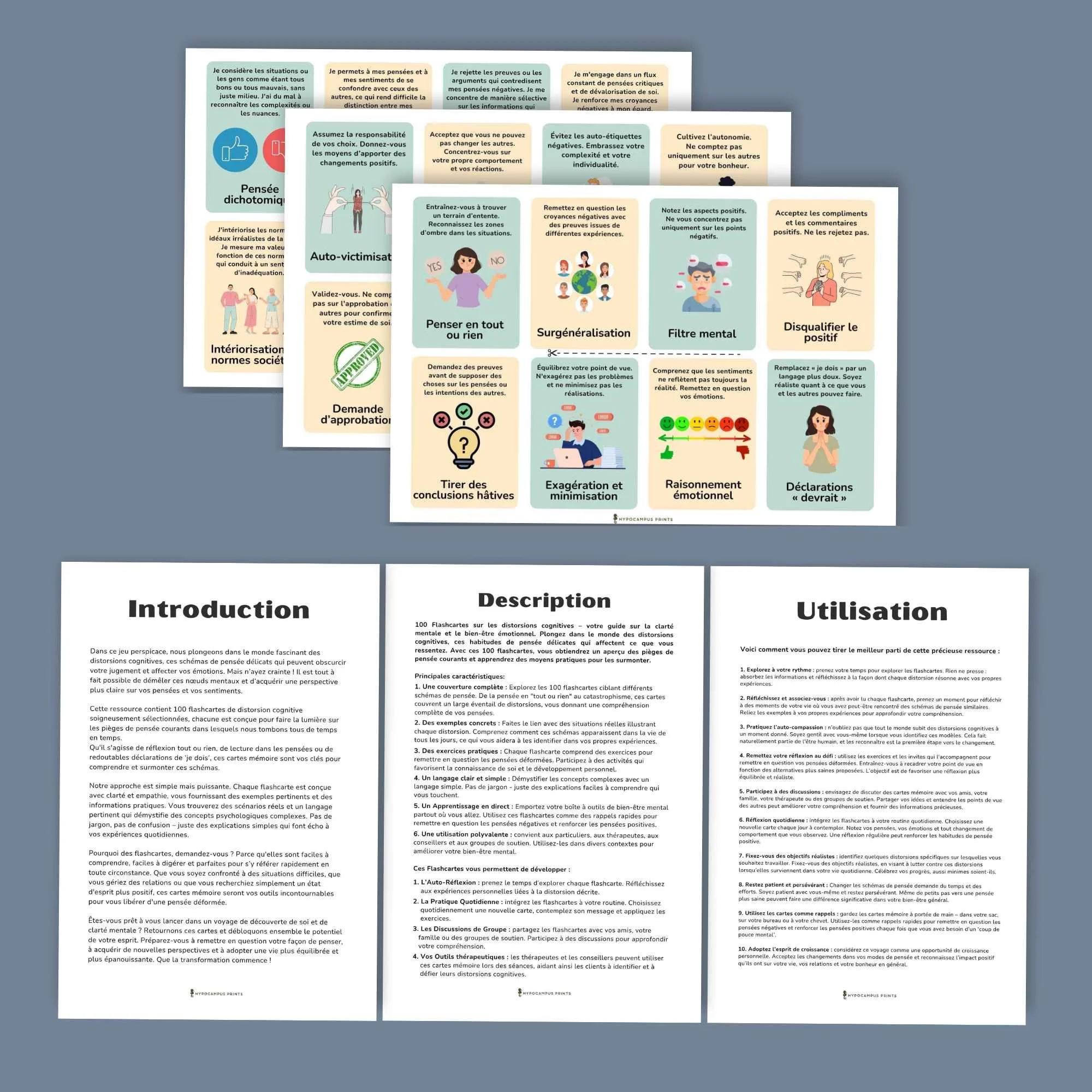 flash-cartes-distorsions-cognitives-11.jpg.jpg