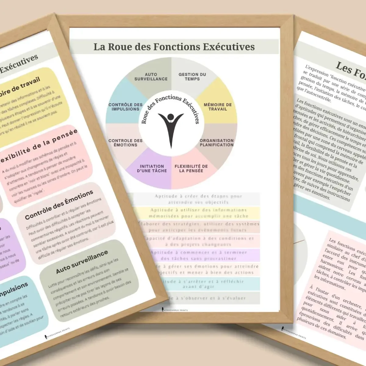 Roue des fonctions exécutives -5.webp