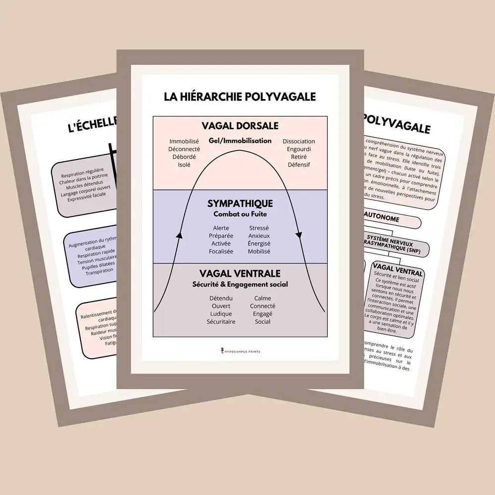 theorie_polyvagale_developpement_personnel_pdf_04.webp