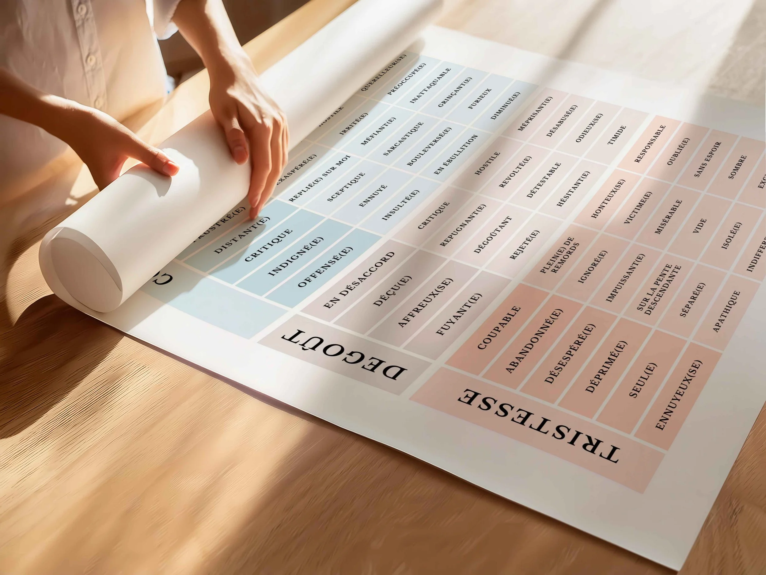 affiche-le-tableau-des-emotions-1.jpg.jpg