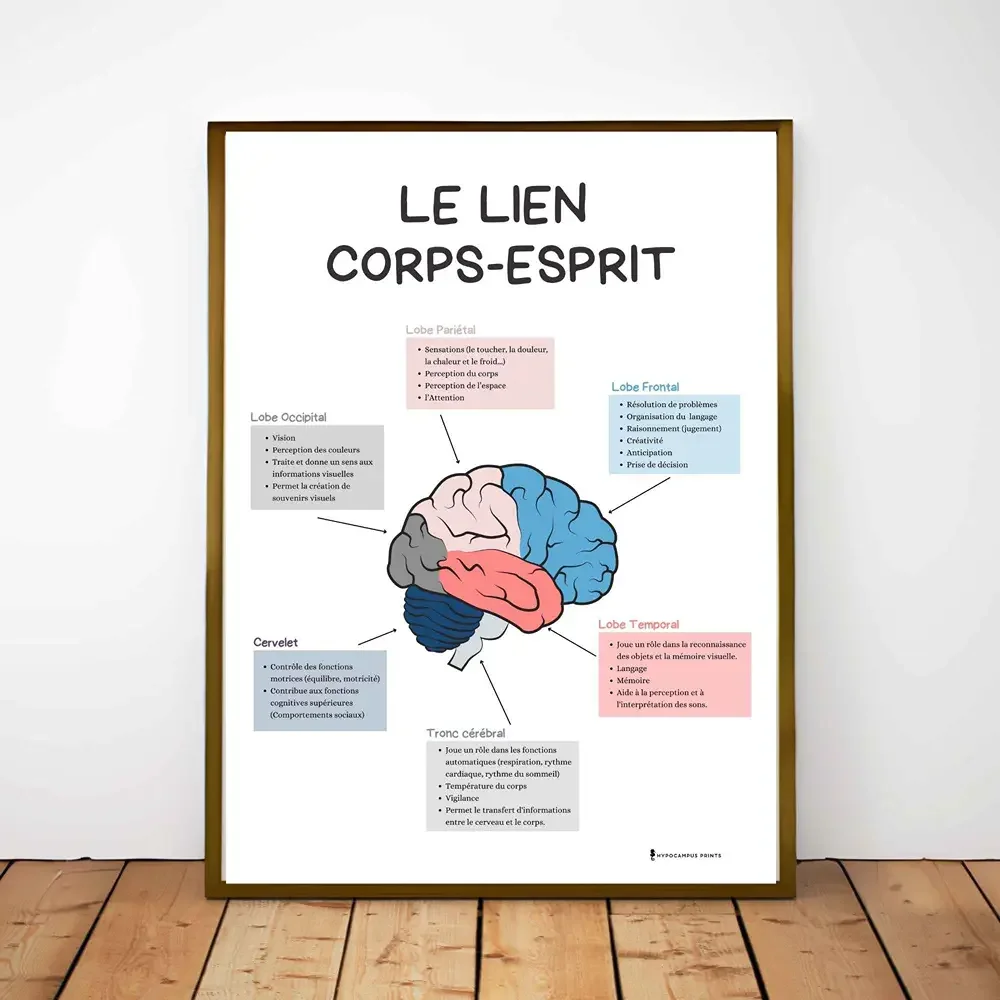 affiche-connexion-corps-esprit-pdf-somatisation-01.webp