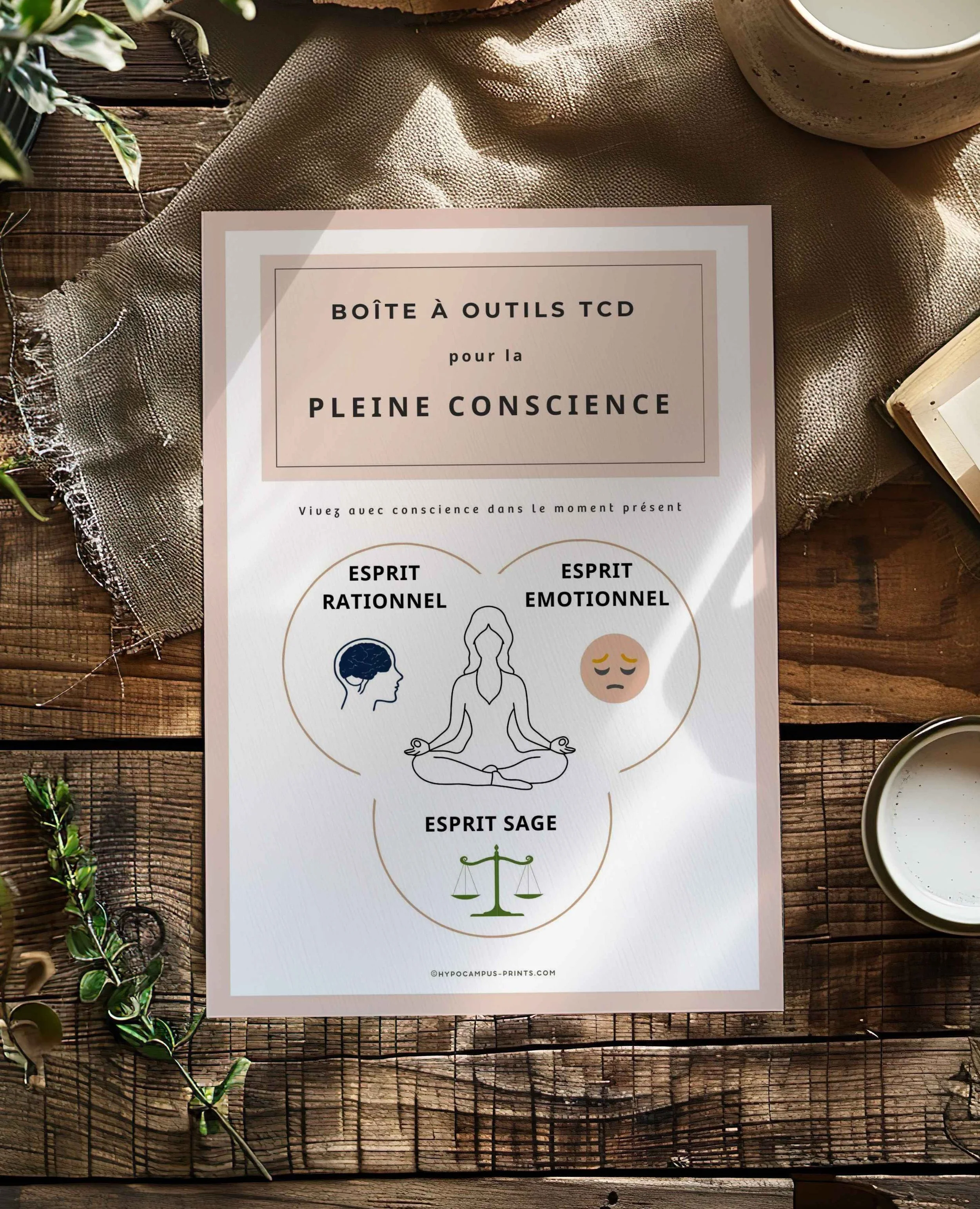 kit-tcd-mindfulness-cartes-flash-13.jpg.jpg
