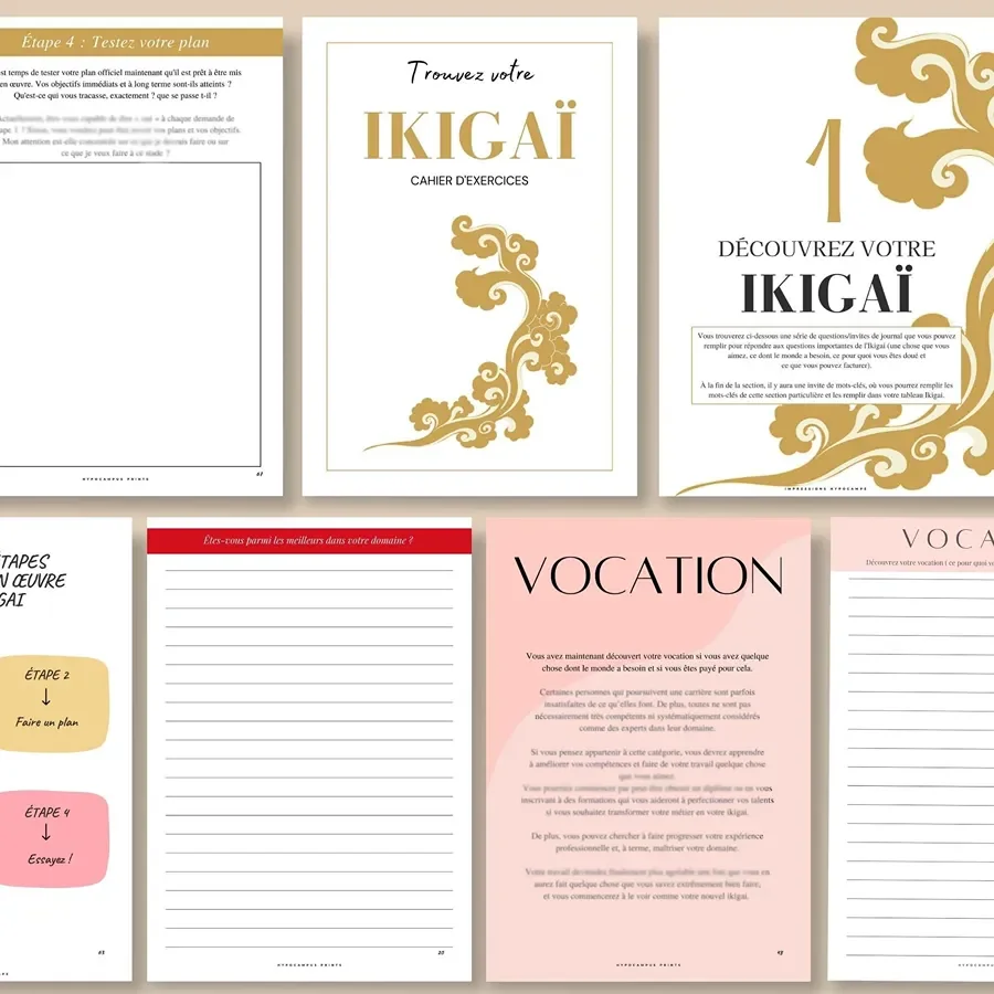 Trouver_son_ikigai_exercices_pdf_06.webp