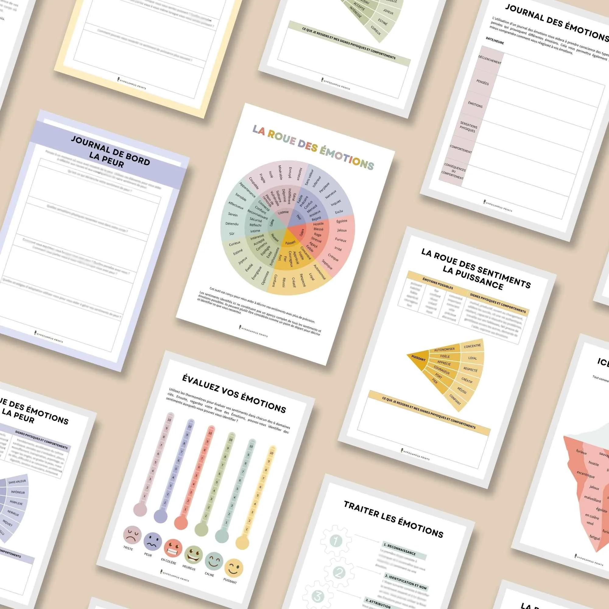 cahier-d-exercices-la-roue-des-emotions5.jpg.jpg
