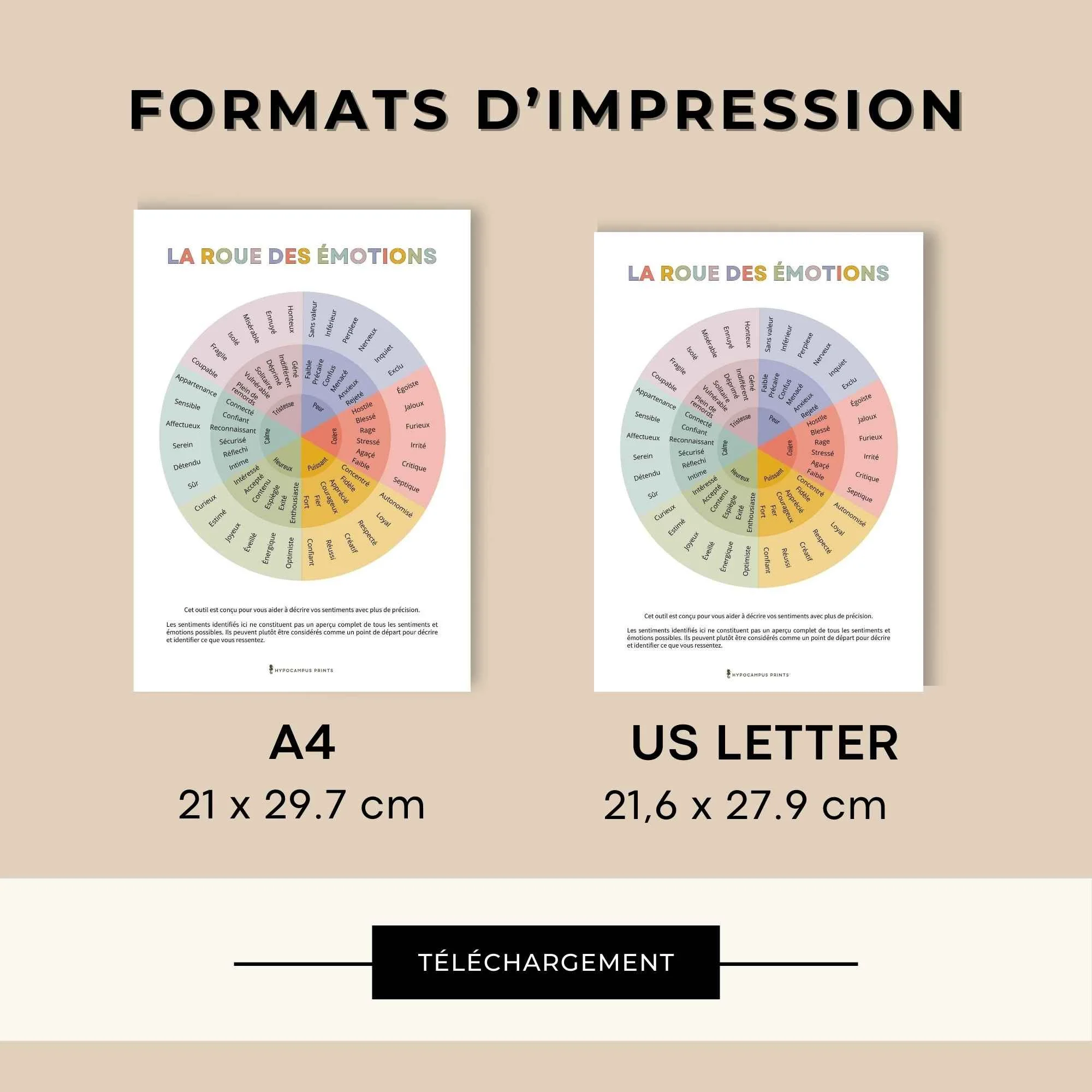 cahier-d-exercices-la-roue-des-emotions9.jpg.jpg