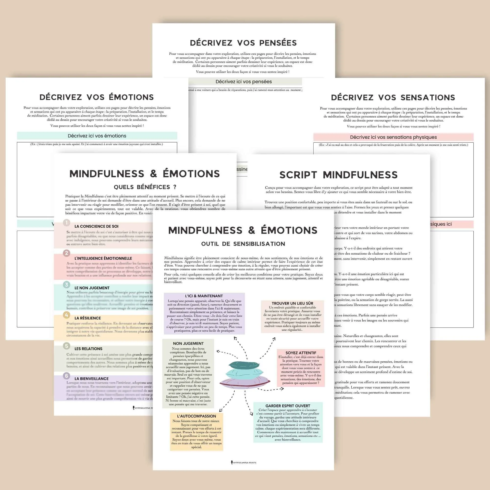 mindfulness-et-emotions-ressource-santé-mentale4.jpg.jpg