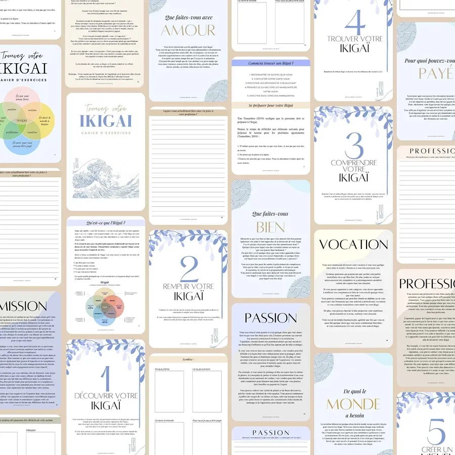 ikigai_trouver_votre_mission_de_vie_PDF_02.webp