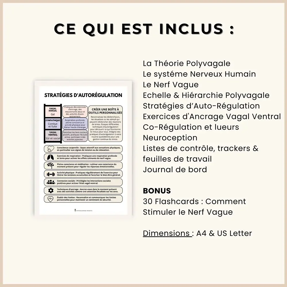 theorie_polyvagale_developpement_personnel_pdf_08.webp
