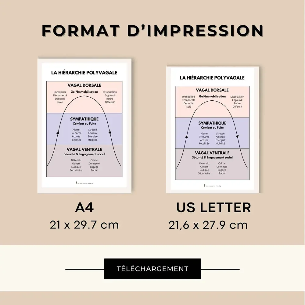 theorie_polyvagale_developpement_personnel_pdf_09.webp