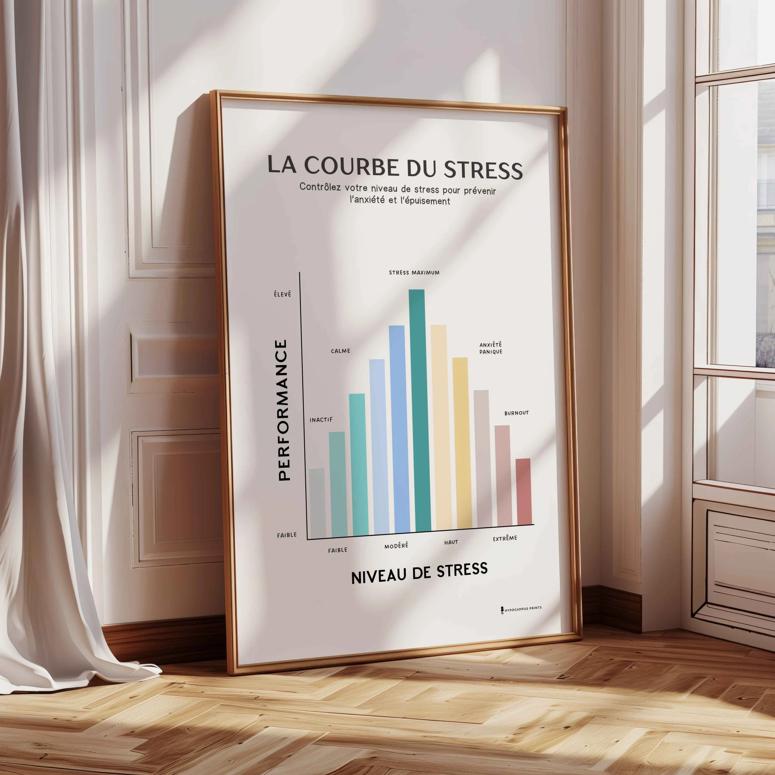 affiche-sur-la-courbe-du-stress-12.jpg.jpg