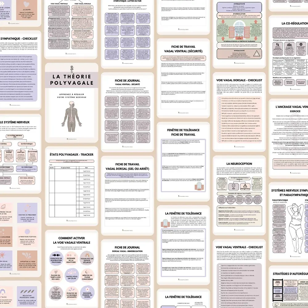 theorie_polyvagale_developpement_personnel_pdf_10.webp