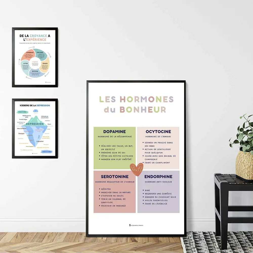 pack-18-affiches-psychoeducation-tcc-pdf-11.webp
