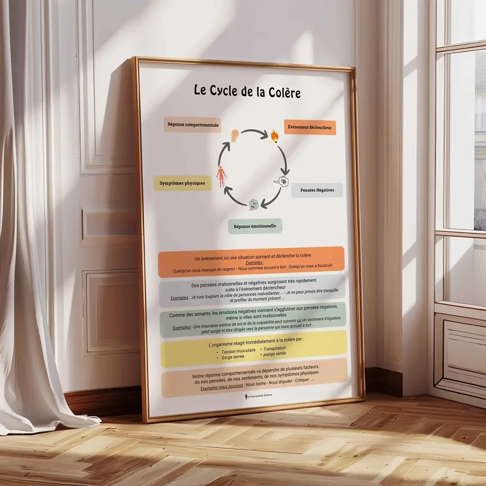 cycle-de-la-colere-affiche-psychoeducation-pdf-05.webp