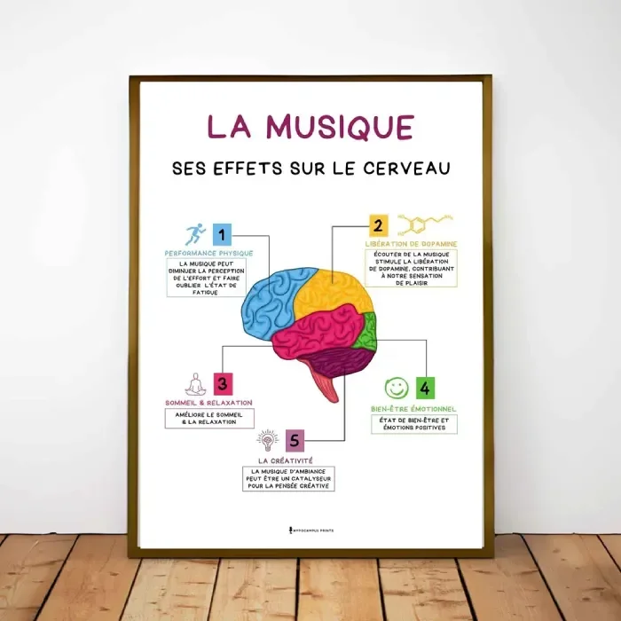 La Musique, ses Effets sur le Cerveau