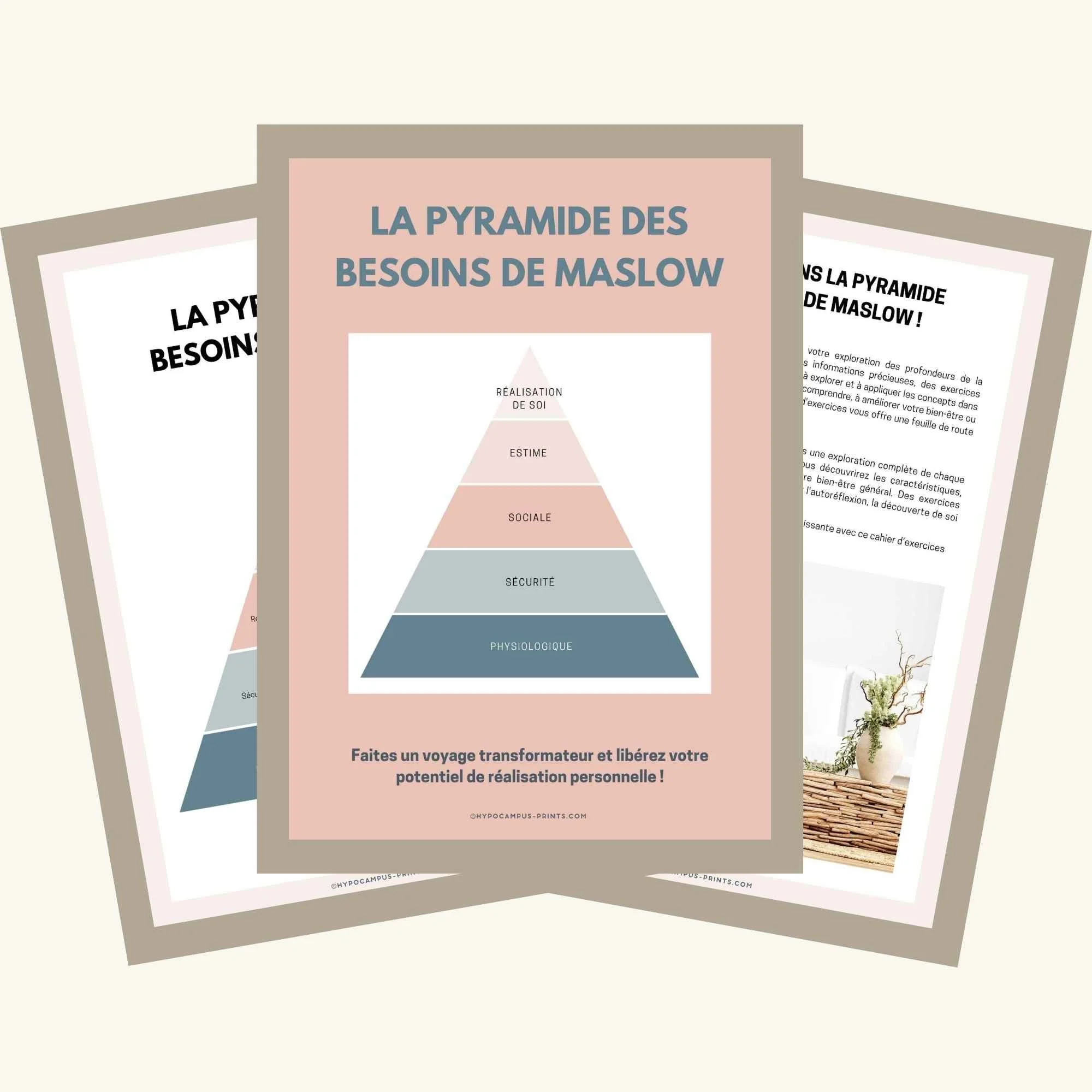 la-pyramide-de-maslow-9.jpg.jpg