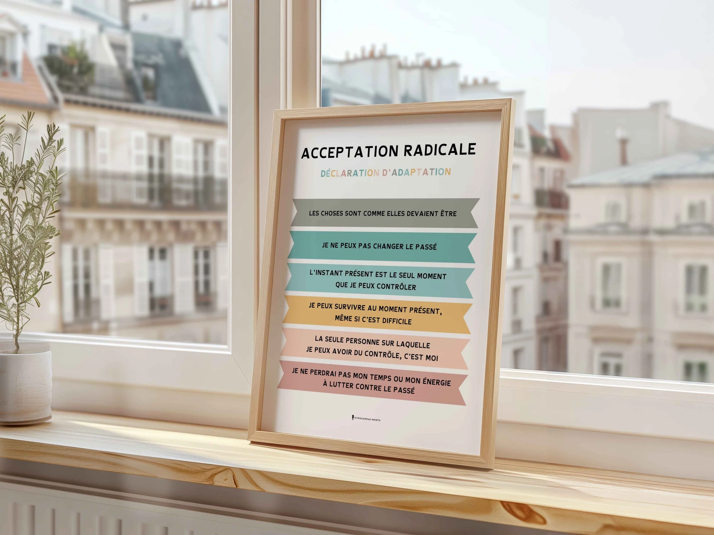 acceptation-radicale-declaration-d-adaptation-19.jpg.jpg