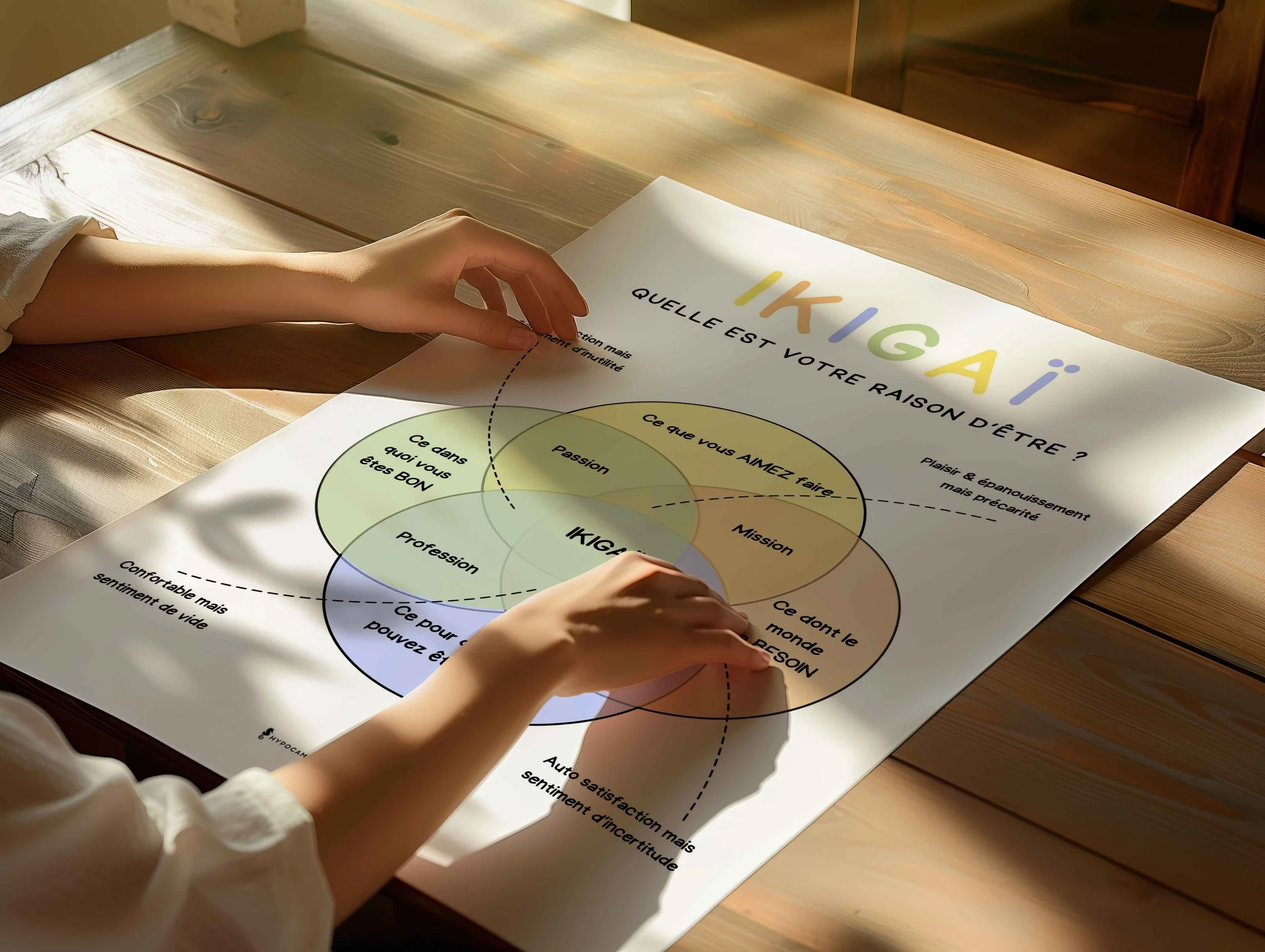 affiche-sur-la-methode-ikigai-11.jpg.jpg