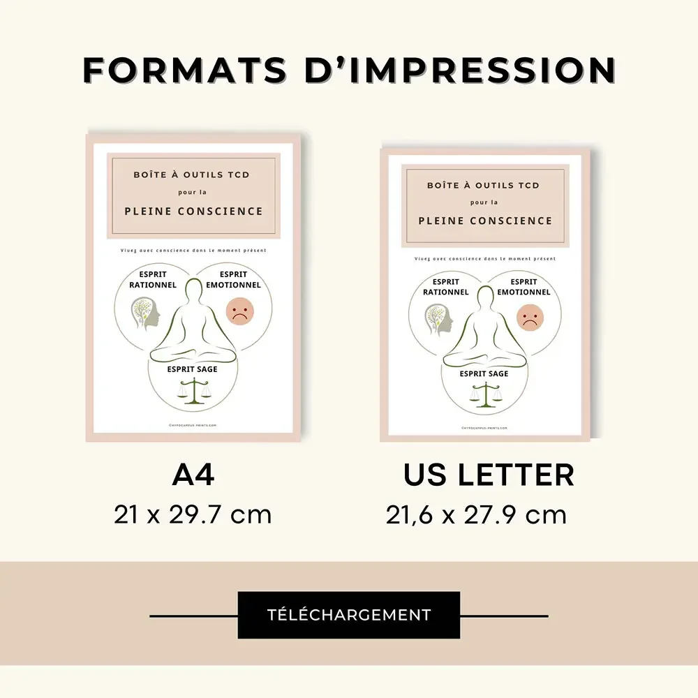 tcd_pour_reguler_le _emotions_adulte_pdf_13.webp