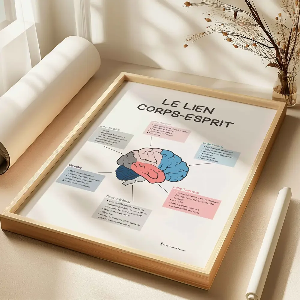 pack-20-affiches-anxiete-psychoeducation-tcc-05.webp