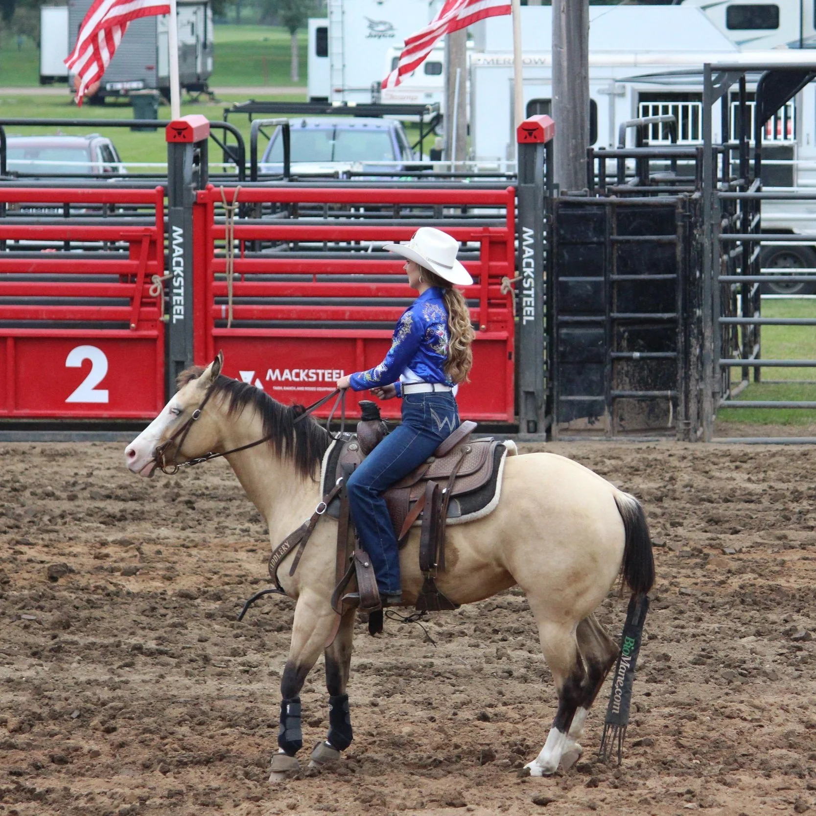 GOEBEL PERFORMANCE HORSES