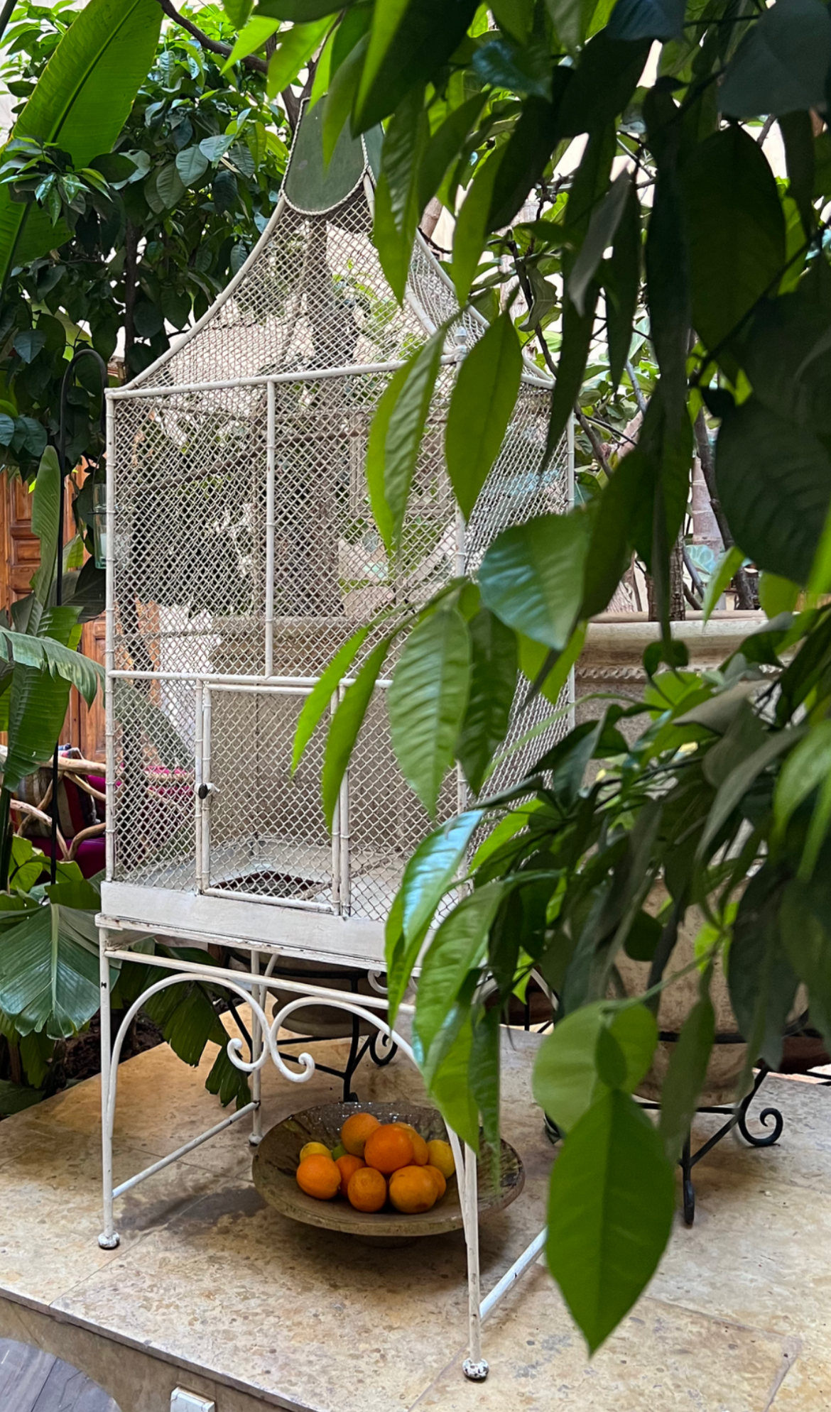 Turtle+Courtyard+Birdcage.png