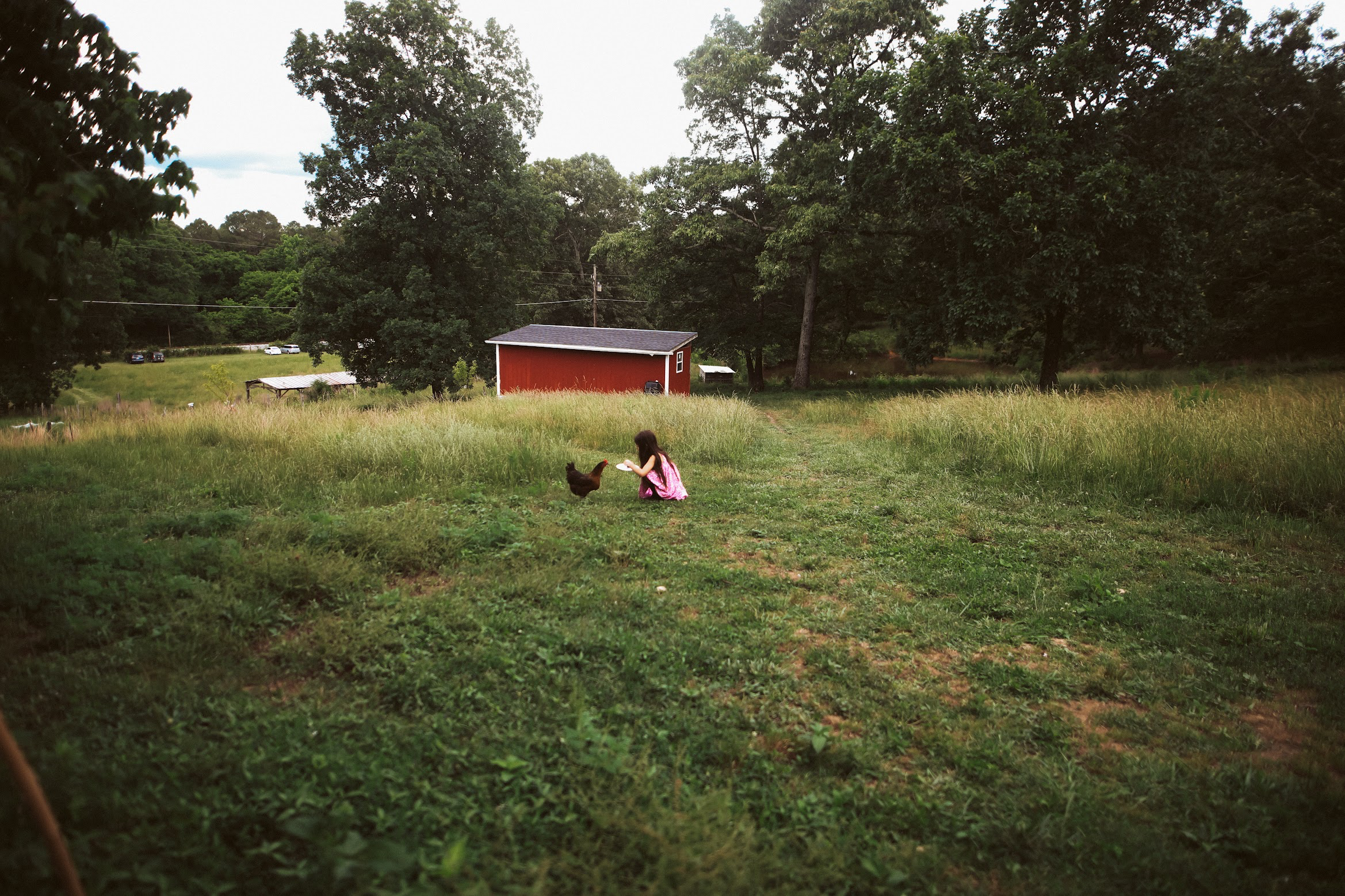 image_2025-02-12_18-13-40.png
