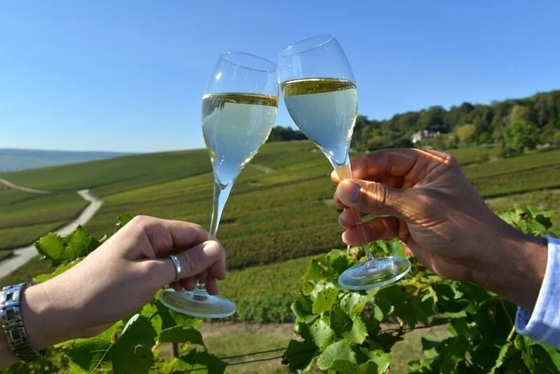 toast of champagne at a french vineyard
