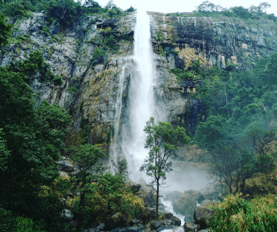 sri lanka waterfall in the woods