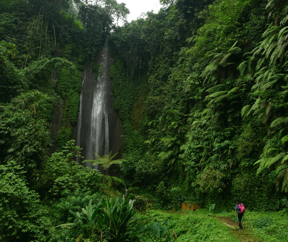woman looking at a big waterfall in the jungle.png