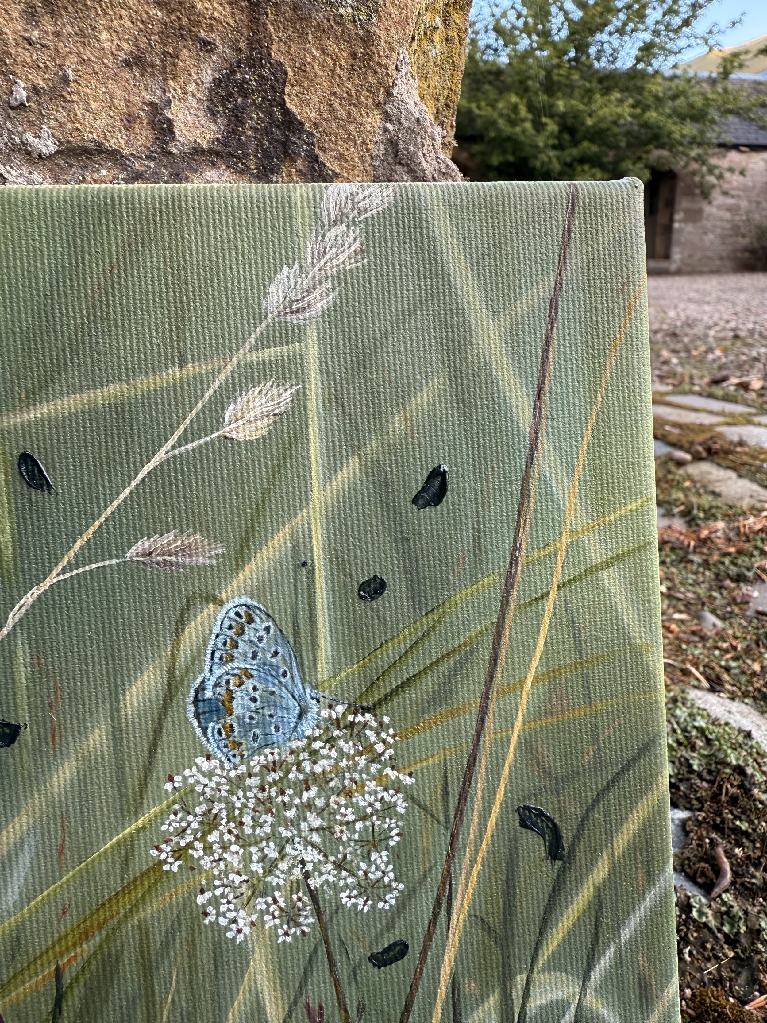 SecretGardenCloseUp.jpg