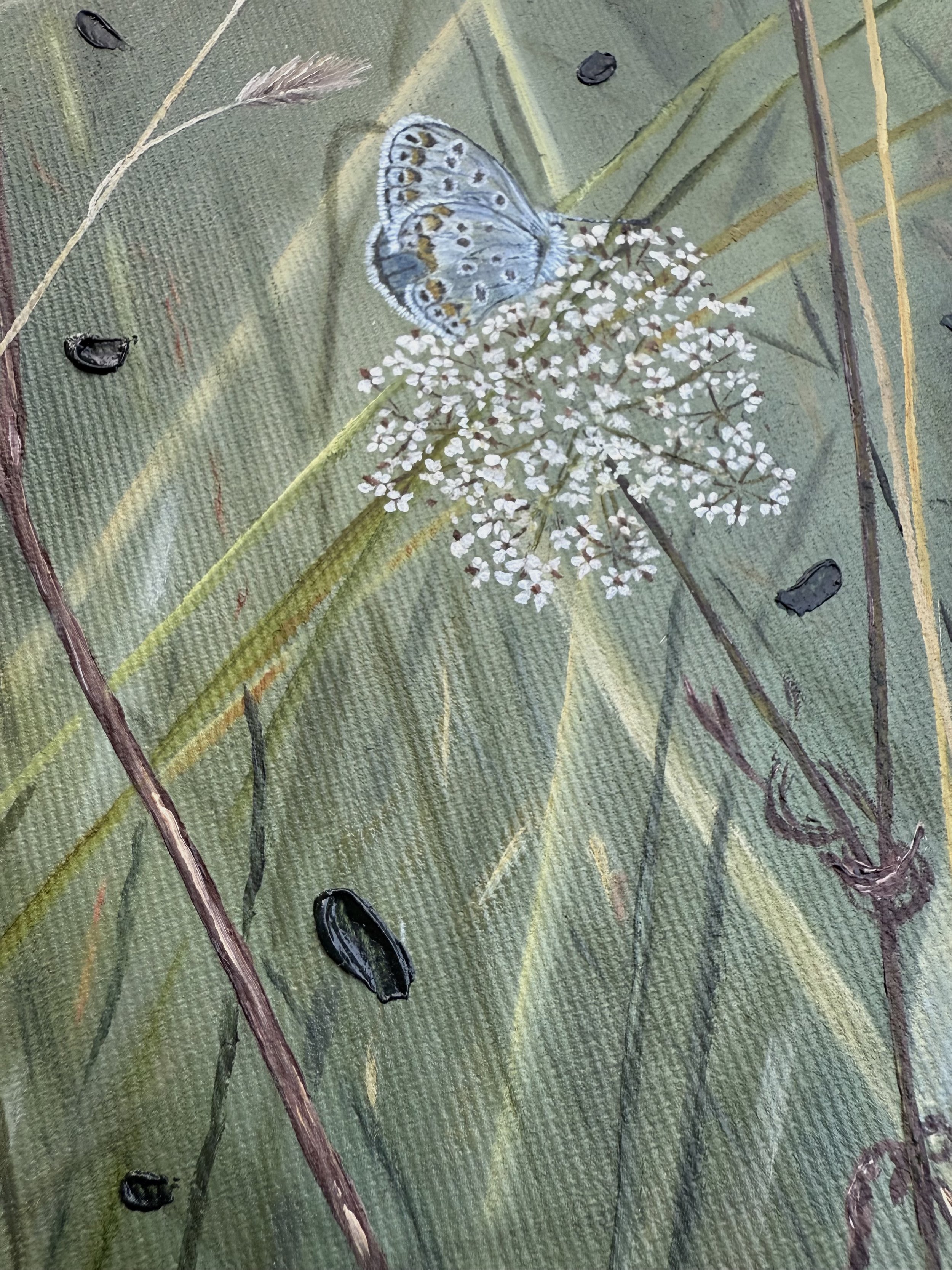 ButterflyDetail.jpg