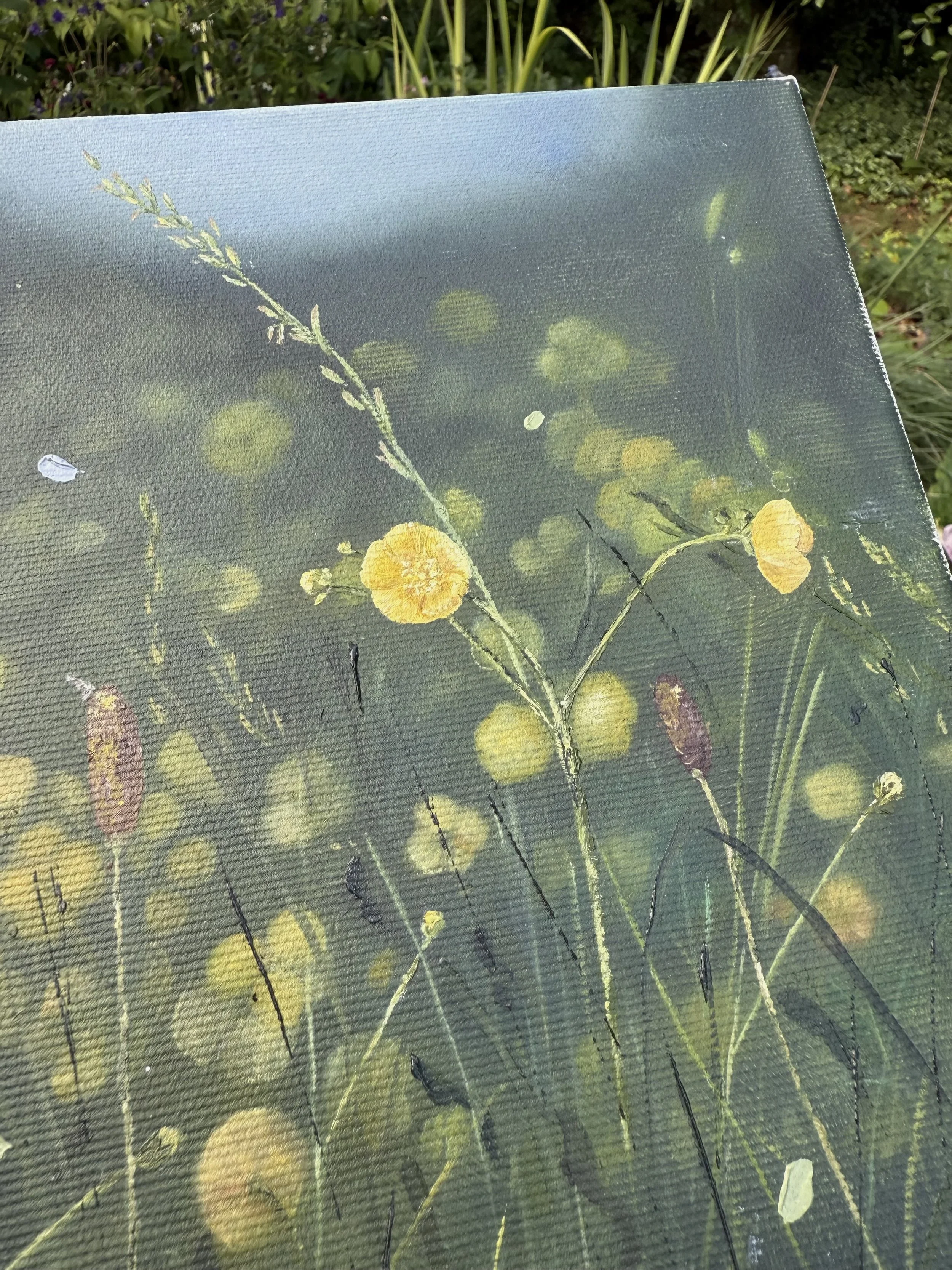 MeadowCloseButtercup.jpg