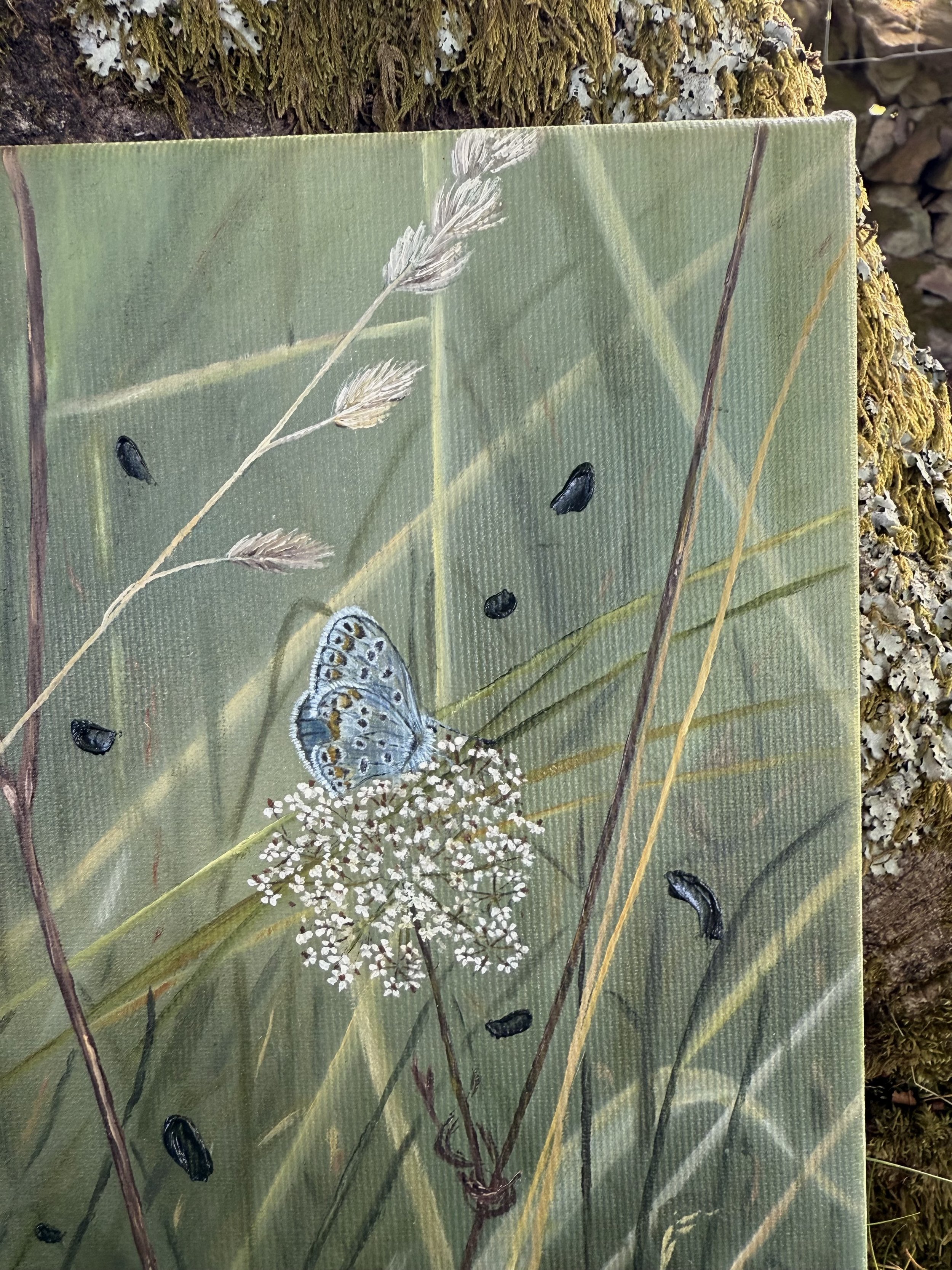 ButterflyCottageEdge.jpg