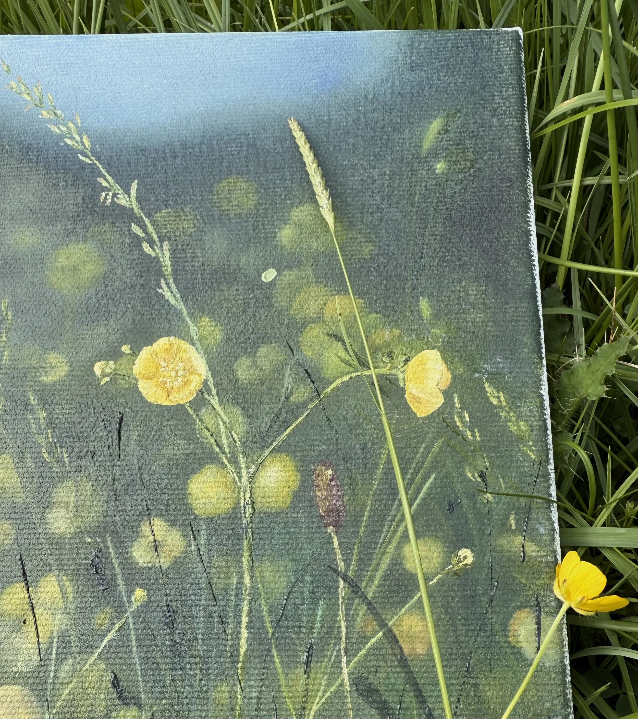 GrassAndButtercup.jpg