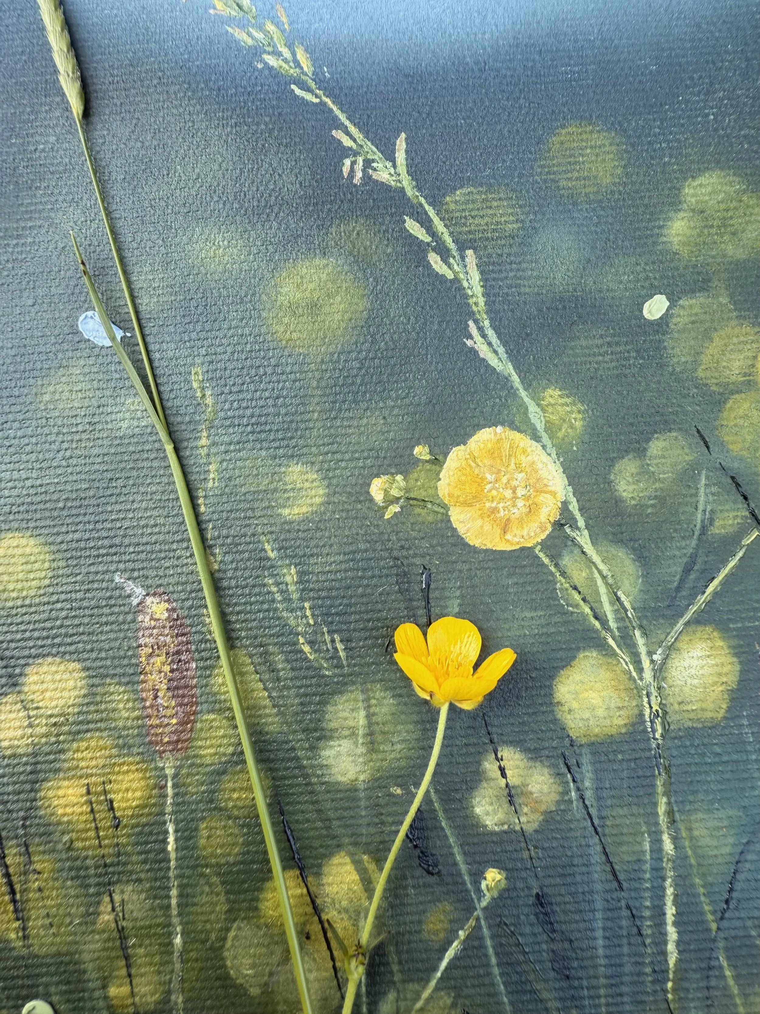 CloseUpButtercup.jpg