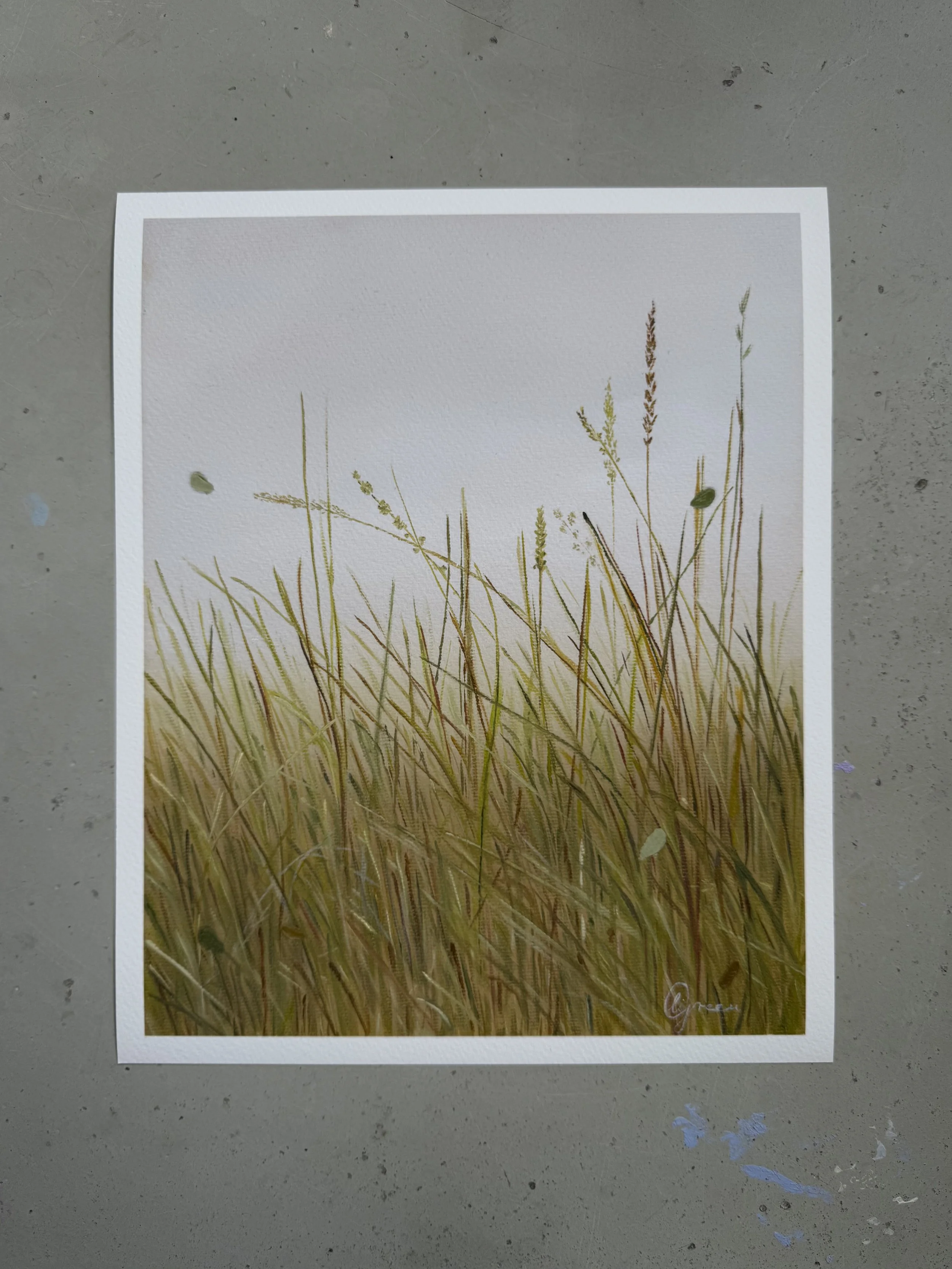 MeadowPrintFront.jpg