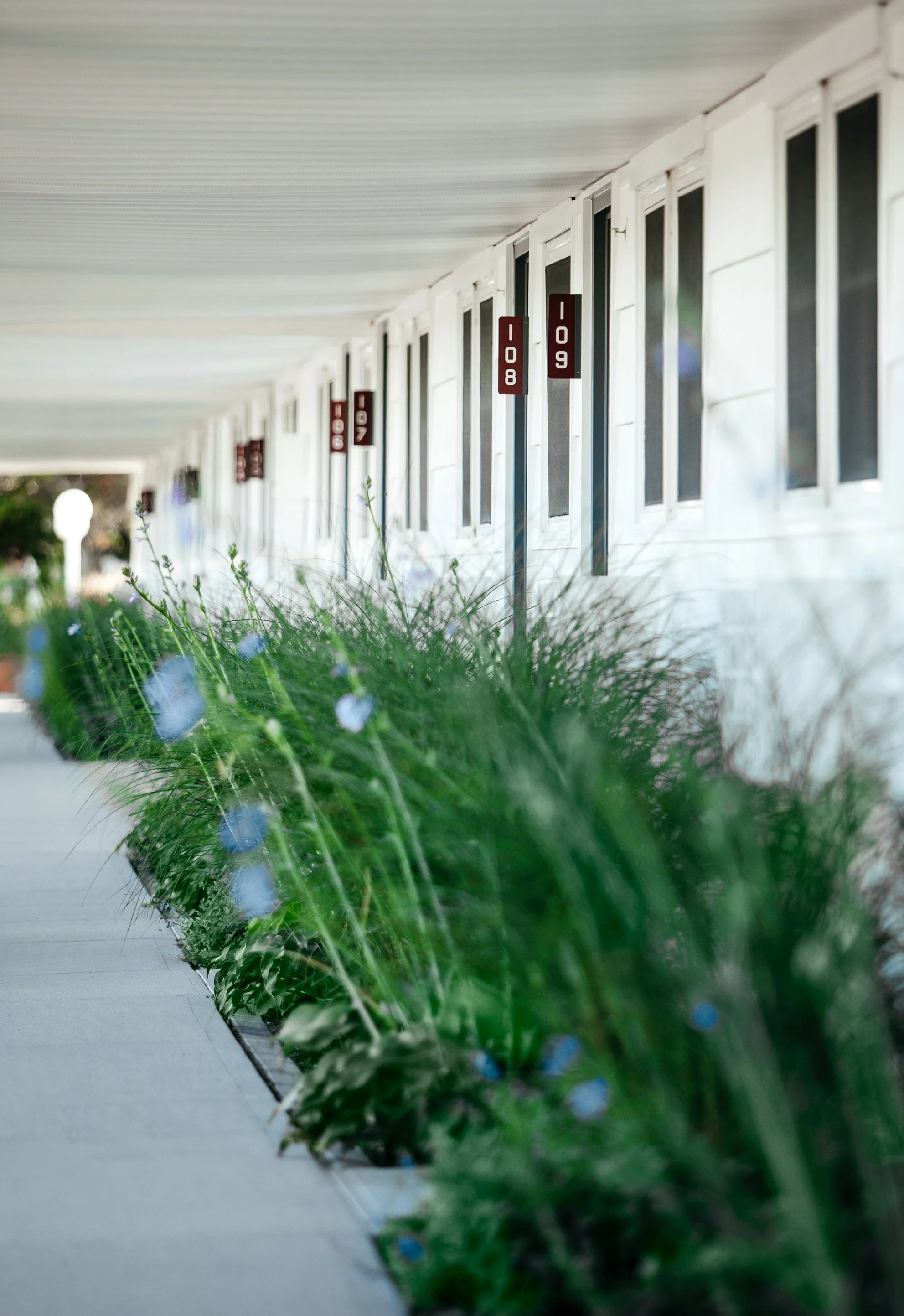 2017-07-26-Soundview-179 copy.jpg