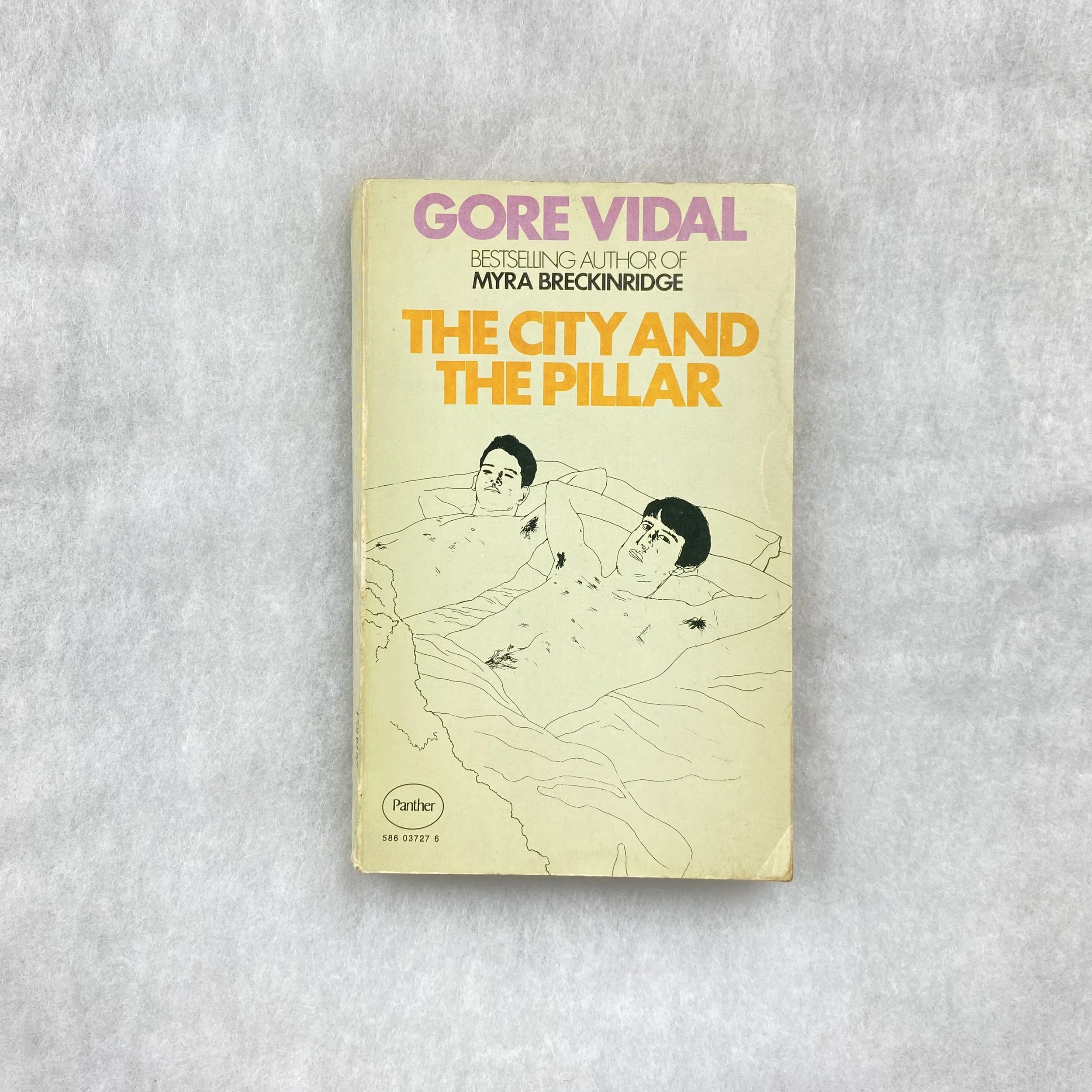   GAY object 048   The City and The Pillar  by Gore Vidal 