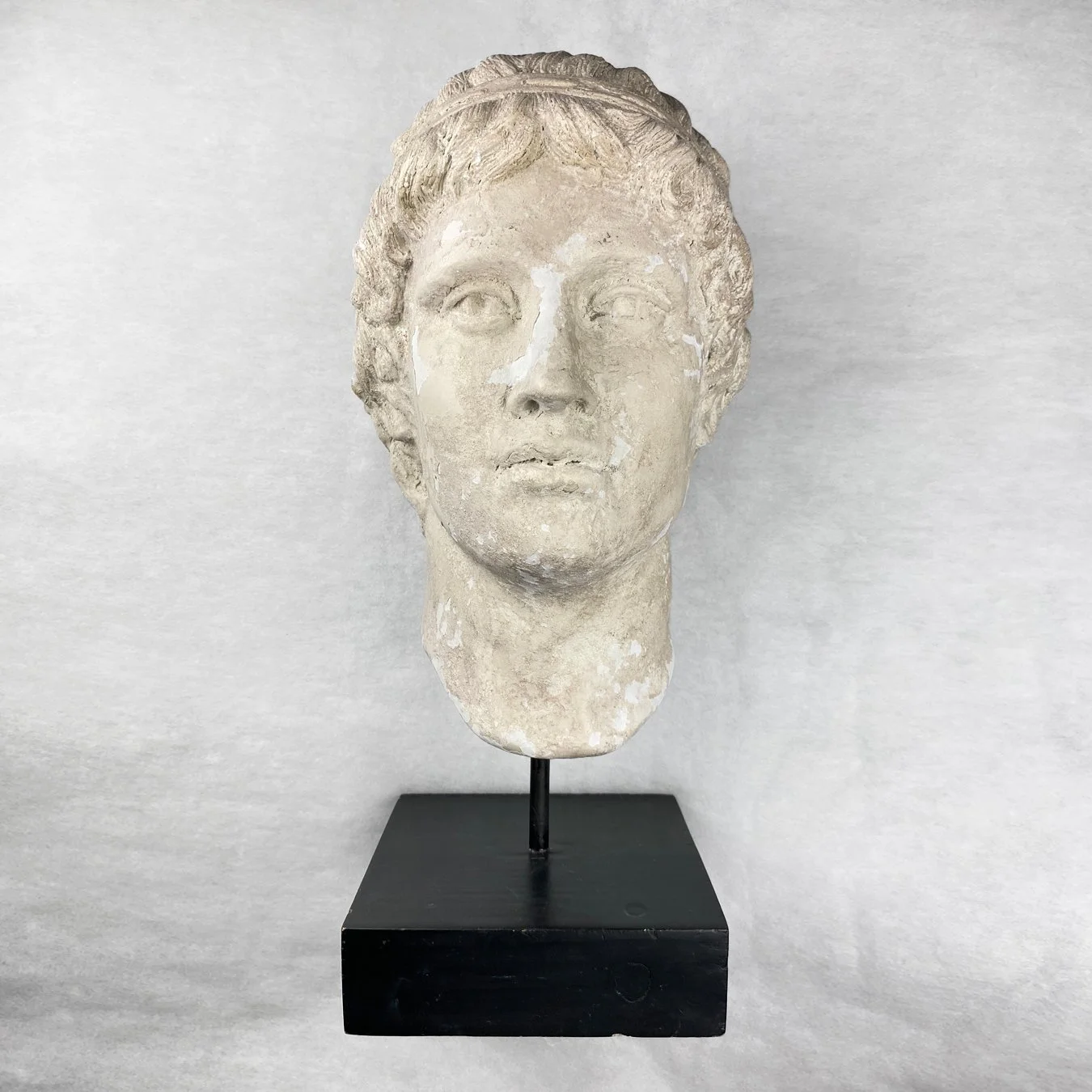   GAY object 044  Greco-Roman plaster bust 