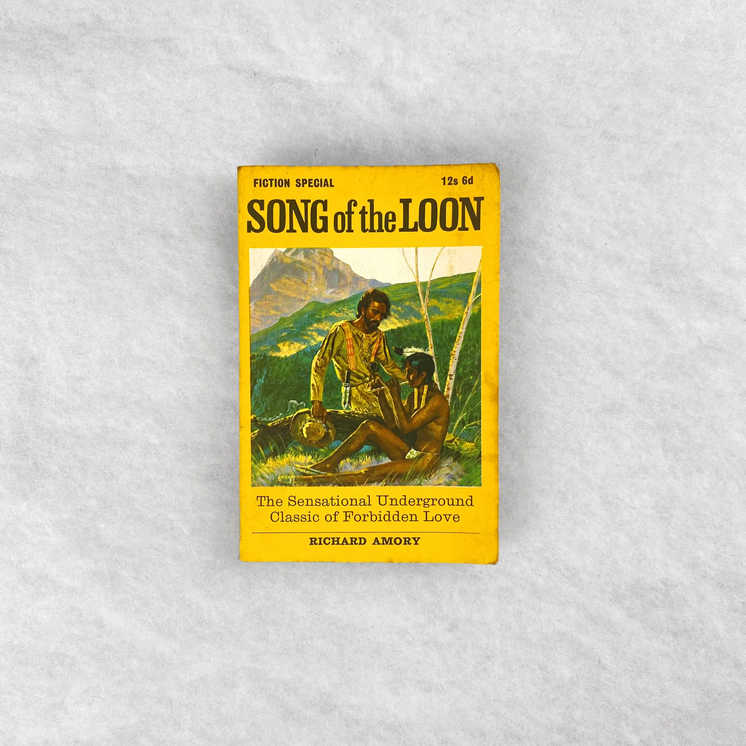   GAY object 154   Song of the Loon  by Richard Amory 