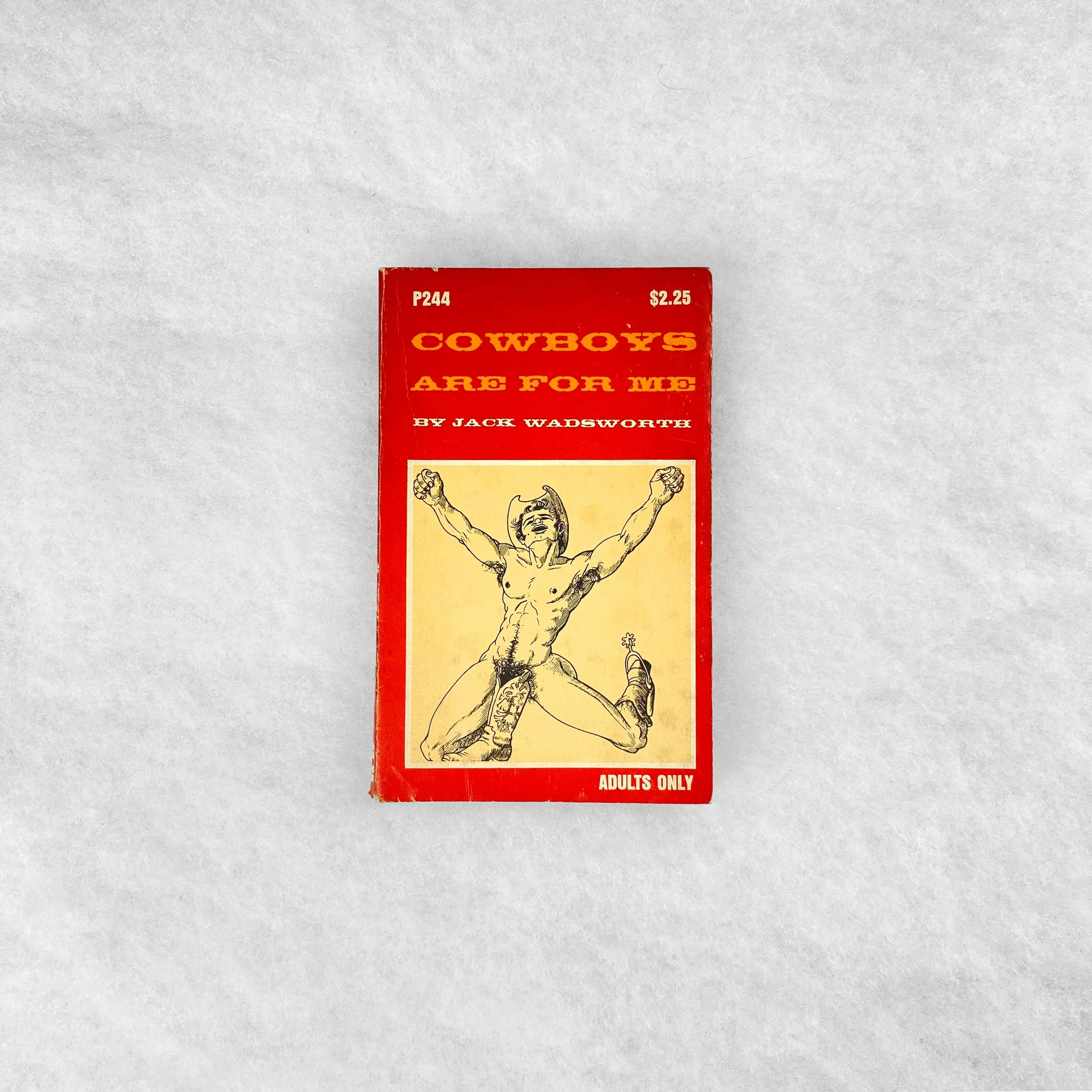   GAY object 110   Cowboys Are For Me  by Jack Wadsworth 